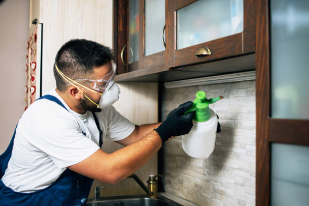 Best Termite Control Services  in Belgium, WI