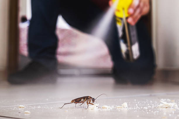 Best Pest Control Near Me  in Belgium, WI